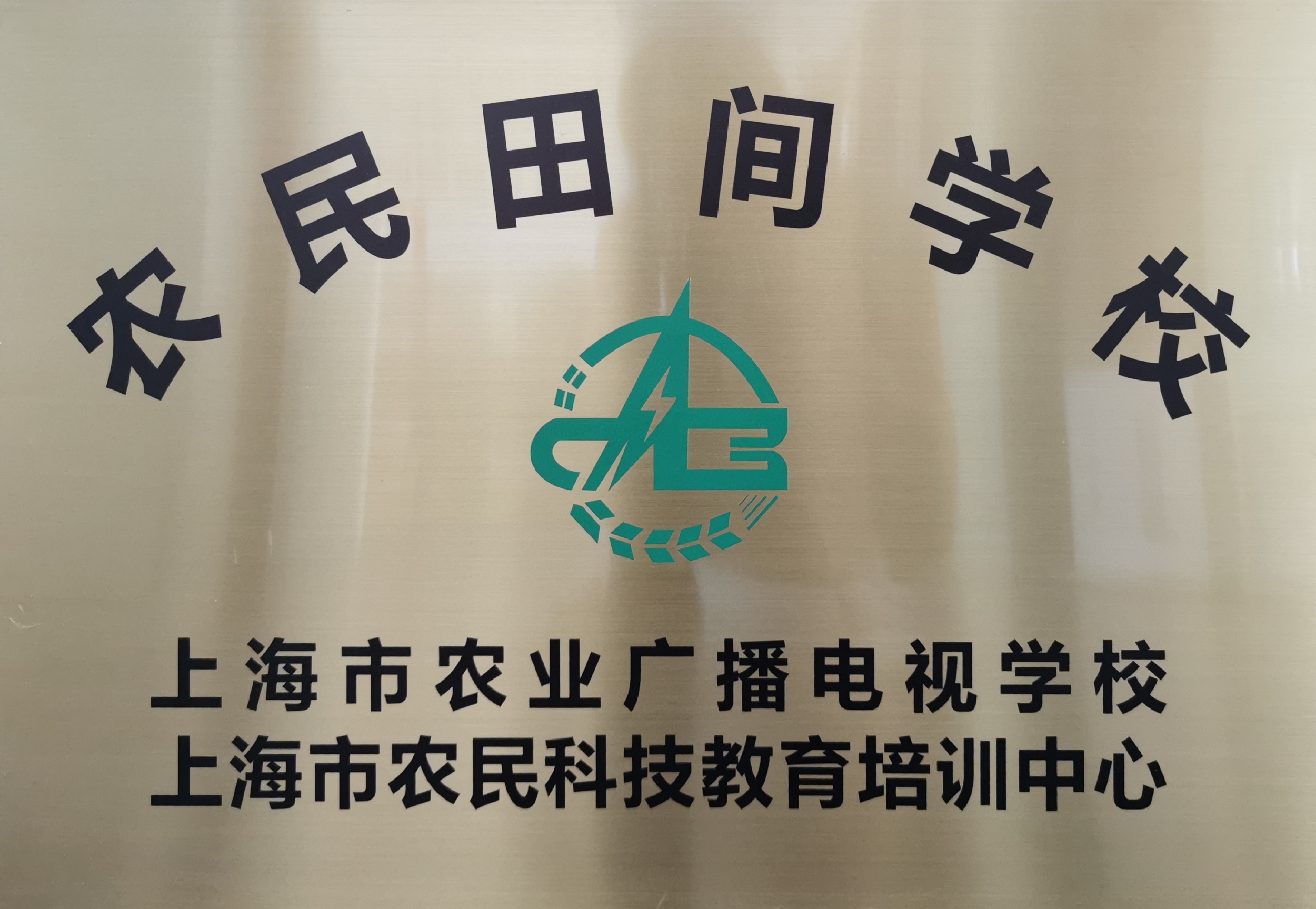 榮譽(yù)資質(zhì)